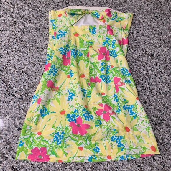 Lilly Pulitzer Dress 2 - Picture 8 of 12